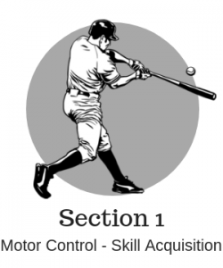 Baseball Resource Guide | Baseball Development Group